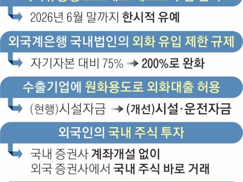 유동성 감독 늦추고, 외국인 빗장 풀고… ‘달러 유입’ 총력전