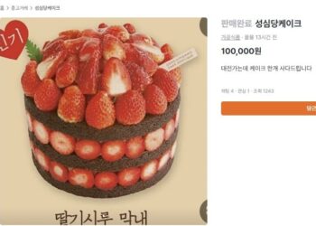 “10만원에 사드려요”…‘성심당 케이크’ 정가 2~3배 중고거래 대란