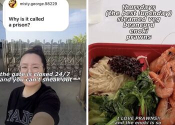 철조망 둘러싼 中 ‘비만 감옥’ 실체…“가둬놓고 매일 4시간 운동시켜”