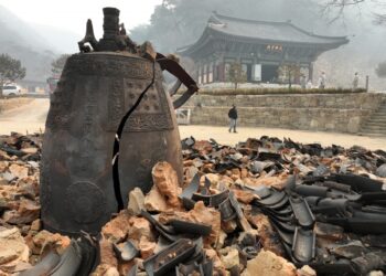 역대 최악 ‘경북 산불’ 유발한 실화자 2명에 징역형 집행유예