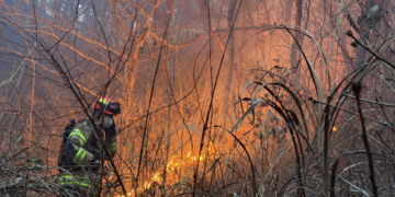 [속보]‘하늘이 도왔다’…의성 산불 3시간 만에 주불 진화