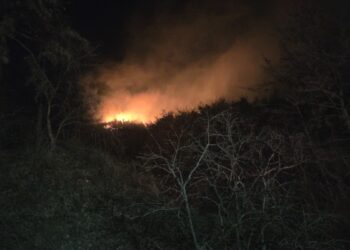 경주서 산불 잇따라…소방 대응 1단계 발령