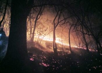 건조·강풍에 주말과 휴일 산불 16건 발생…함양 산불 이틀째 ‘확산’