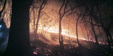 건조·강풍에 주말과 휴일 산불 16건 발생…함양 산불 이틀째 ‘확산’