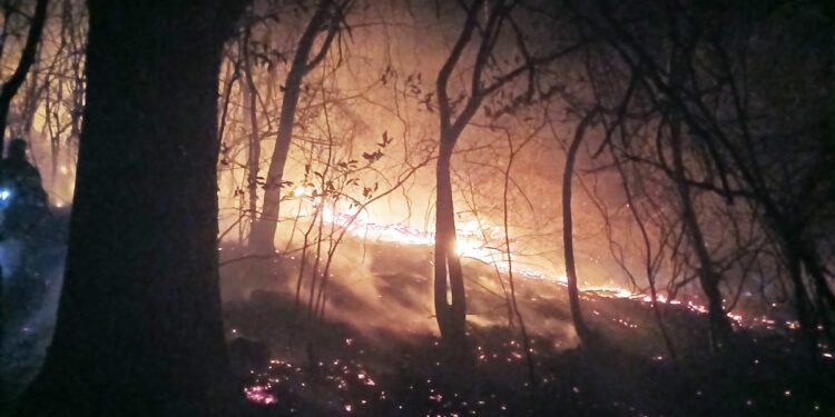 건조·강풍에 주말과 휴일 산불 16건 발생…함양 산불 이틀째 ‘확산’