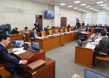 행안위, 與 주도 ‘국민투표법’ 개정안 처리