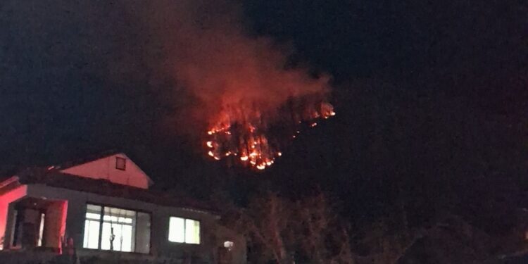 “비상탈출하다 나무에 걸려” 경북 영주서 전투기 추락…조종사 무사히 구조 완료