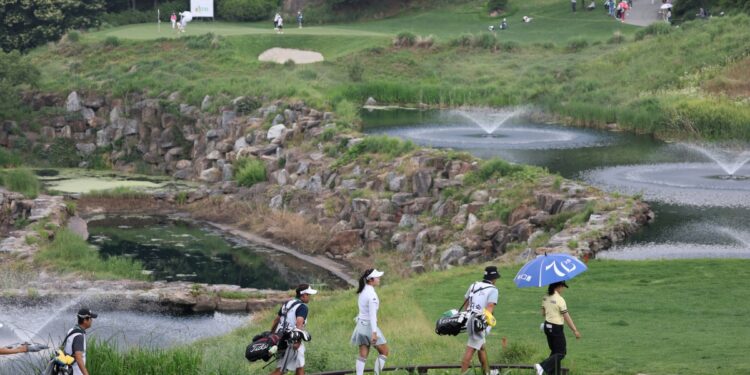 드림투어 코스 변별력 높아진다… 1부 그린서 연 6차례 ‘티샷’[권훈의 골프 확대경]