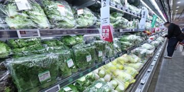 9.9% 뛴 기름값에 데고… 밥상 물가엔 숨 돌렸다